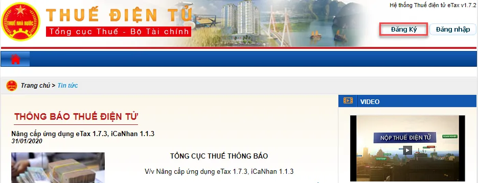 Hình 1