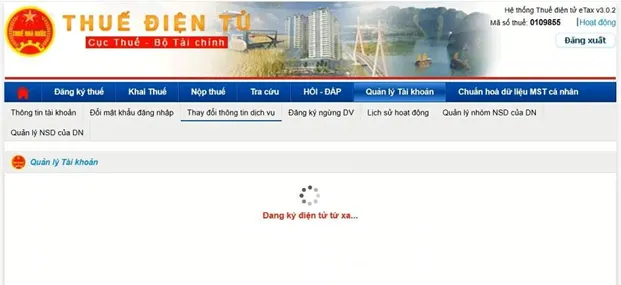 Hình 10