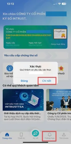 Hình 11