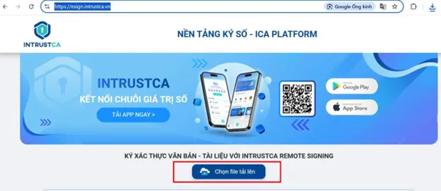 Hình 1